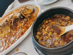 -陈麻婆豆腐总店
