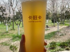 蜜桃乌龙茶-卡旺卡(合肥半边街店)