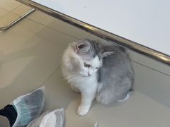 -怪兽屋·羊驼·猫咖·狗咖(俊华广场店)
