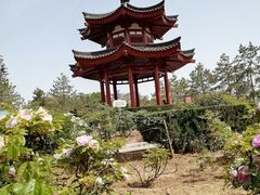 -大慈恩寺(大雁塔)