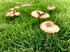 -文华公园(禅城区)