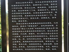 -阳台山自然风景区