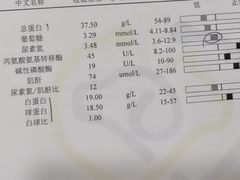 -美迦爱-动物医院·骨科·牙科·夜诊(朝阳路诊疗中心)