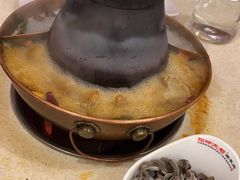 苏尼特羊毛肚-阳坊大都涮羊肉(阳坊总店)
