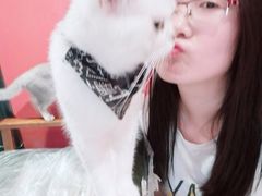 -猫色咖啡·猫咖