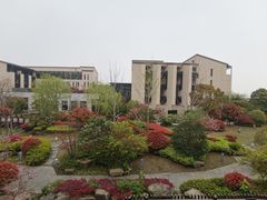 -上海崇明金茂凯悦酒店