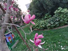 -经纬广场