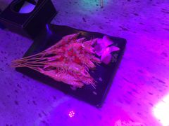 -米乐星世界KTV(汇智国际商业中心店)