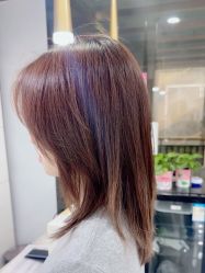 -镁连社·美联社