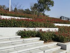 -羊山湖公园