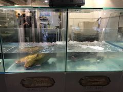 -漫烤鱼&徐州烧烤夜宵(万达店)
