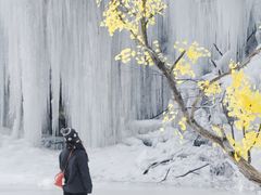 -少华山国家森林公园