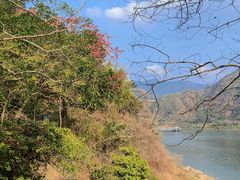 -羚羊峡古栈道森林公园