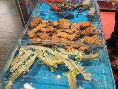 -吴记富苑(朝阳店)