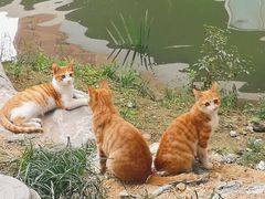 -杭州市城市规划展览馆