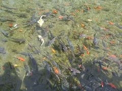 -水磨沟公园