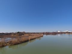 -贡湖湾湿地公园