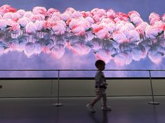 -罗红摄影艺术馆