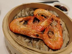 笼仔蒸九节虾-千灯盛汇·头牌粤菜(致越优城店)