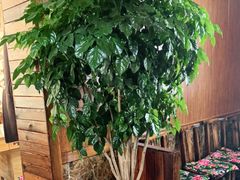 -果松木炭酸菜铜火锅·外婆参鸡汤