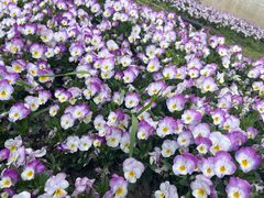 -旺泉餐饮店·清真牛肉面馆