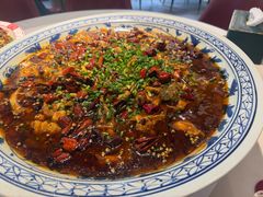 -新概念来凤鱼(璧山店)