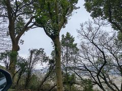 -平湖九龙山旅游度假区