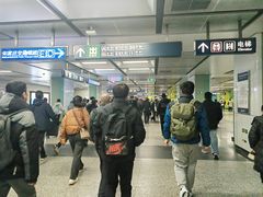 -宋家庄(地铁站)