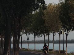 -沙颍河公园