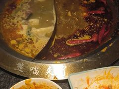 -熊喵来了火锅·牧场好肉(邯郸邯山万达店)
