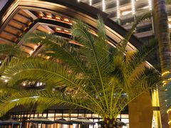 -三亚湾海居铂尔曼度假酒店