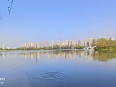 -洋湖国家湿地公园