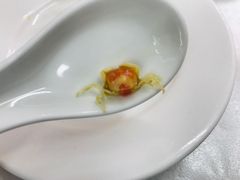 小螃蟹-北戴河庆山饭店·海鲜砂锅粥(北戴河黑石路店)