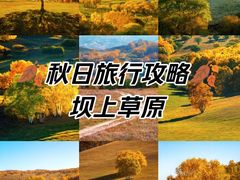 -丰宁坝上草原