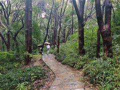 -灵岩山风景区