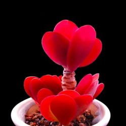 -Oasis Beauty水磨坊科技美肤中心