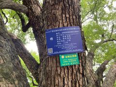 -柳侯公园