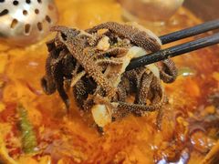 -黔三一夺夺粉酸汤火锅(百信店)