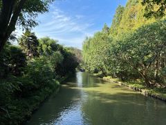 -同里国家湿地公园