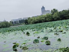 -长春市南湖公园