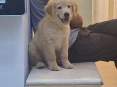 -宠颐生汉谟拉比宠物医院