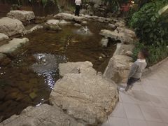 -森谷美食公园(杨行店)