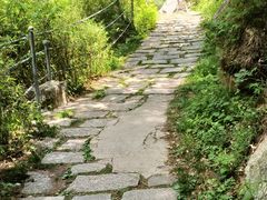 -朱雀国家森林公园