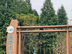 -溱湖国家湿地公园