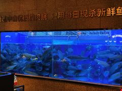 水产区-淘米捞·米汤脆鲩鱼火锅(福田皇岗店)