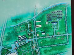 -日照海滨国家森林公园