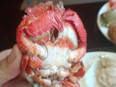 -大中华希尔顿酒店-念自助餐·嗨啤·小龙虾