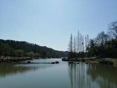 -常德桃花源景区
