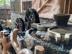-天门沟九州驿站树上汤泉