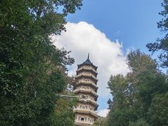 -灵谷景区